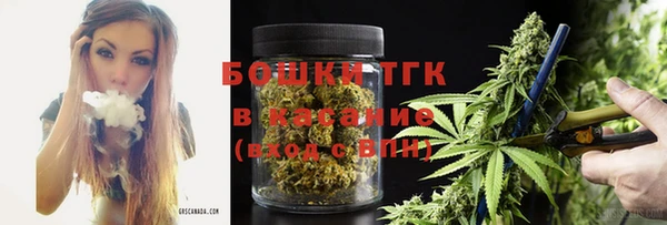 сатива Иннополис