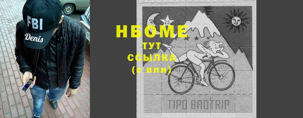 сатива Иннополис