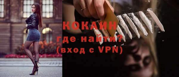 сатива Иннополис