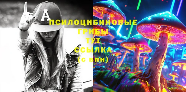 сатива Иннополис